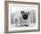 Bentley-Kim Levin-Framed Photographic Print