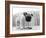 Bentley-Kim Levin-Framed Photographic Print