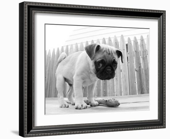 Bentley-Kim Levin-Framed Photographic Print