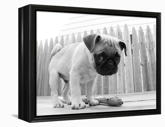 Bentley-Kim Levin-Framed Premier Image Canvas