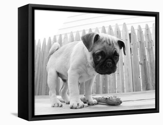 Bentley-Kim Levin-Framed Premier Image Canvas