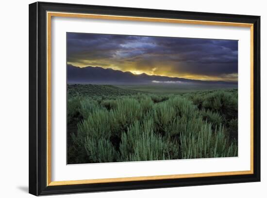 Benton Crossing II-Mark Geistweite-Framed Photographic Print