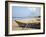 Bentota Beach, Western Province, Sri Lanka, Asia-Ian Trower-Framed Photographic Print