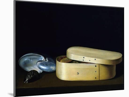 Bentwood Box and Nautilus Shell-Sebastian Stosskopf-Mounted Giclee Print