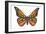 Bentwood Butterfly-Matt James-Framed Art Print