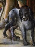 Dog-Benvenuto Di Giovanni-Framed Giclee Print