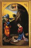 Deposition of Christ-Benvenuto Garofalo-Mounted Giclee Print