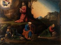 Jesus at the Temple Among the Doctors (Inv 196)-Benvenuto Tisi Da Garofalo-Giclee Print
