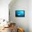 Beqa Shark Labs-Alexander Safonov-Framed Premier Image Canvas displayed on a wall