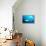 Beqa Shark Labs-Alexander Safonov-Framed Premier Image Canvas displayed on a wall