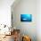 Beqa Shark Labs-Alexander Safonov-Photographic Print displayed on a wall