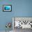 Beqa Shark Labs-Alexander Safonov-Framed Photographic Print displayed on a wall