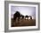 Berber Camel Leader with Three Camels in Erg Chebbi Sand Sea, Sahara Desert, Near Merzouga, Morocco-Lee Frost-Framed Photographic Print