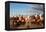 Berber Horsemen Lined Up for a Fantasia, Dades Valley, Morocco-null-Framed Stretched Canvas