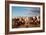 Berber Horsemen Lined Up for a Fantasia, Dades Valley, Morocco-null-Framed Photographic Print