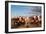 Berber Horsemen Lined Up for a Fantasia, Dades Valley, Morocco-null-Framed Photographic Print