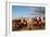 Berber Horsemen Lined Up for a Fantasia, Dades Valley, Morocco-null-Framed Photographic Print