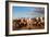 Berber Horsemen Lined Up for a Fantasia, Dades Valley, Morocco-null-Framed Photographic Print