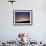 Berber Tribesman Leads His Two Camels Along the Top of Sand Dune in the Erg Chegaga, in the Sahara -Mark Hannaford-Framed Photographic Print displayed on a wall