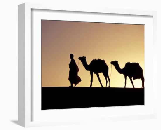 Berber Tribesman Leads His Two Camels Along the Top of Sand Dune in the Erg Chegaga, in the Sahara -Mark Hannaford-Framed Photographic Print