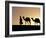 Berber Tribesman Leads His Two Camels Along the Top of Sand Dune in the Erg Chegaga, in the Sahara -Mark Hannaford-Framed Photographic Print