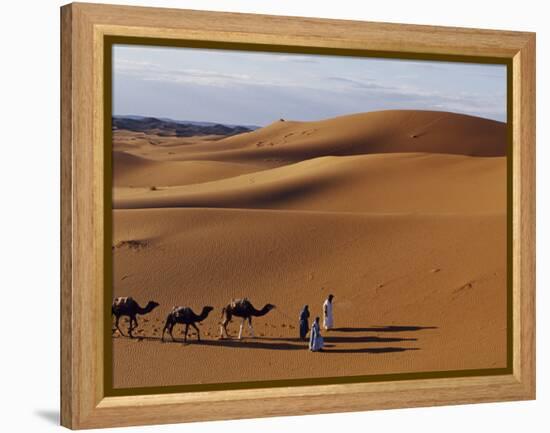 Berber Tribesmen Lead their Camels Through the Sand Dunes of the Erg Chegaga, in the Sahara Region -Mark Hannaford-Framed Premier Image Canvas