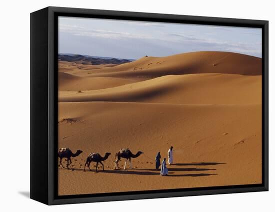 Berber Tribesmen Lead their Camels Through the Sand Dunes of the Erg Chegaga, in the Sahara Region -Mark Hannaford-Framed Premier Image Canvas