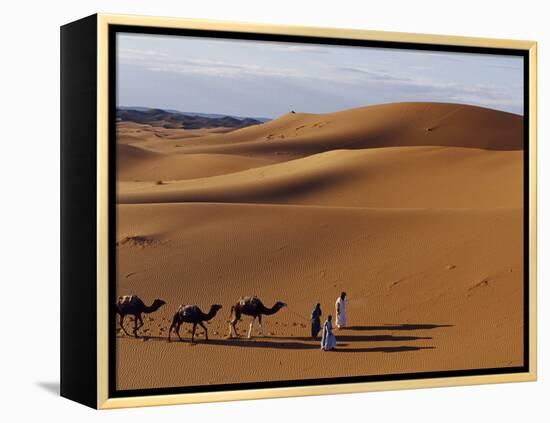 Berber Tribesmen Lead their Camels Through the Sand Dunes of the Erg Chegaga, in the Sahara Region -Mark Hannaford-Framed Premier Image Canvas