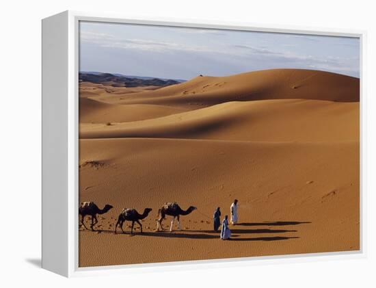 Berber Tribesmen Lead their Camels Through the Sand Dunes of the Erg Chegaga, in the Sahara Region -Mark Hannaford-Framed Premier Image Canvas