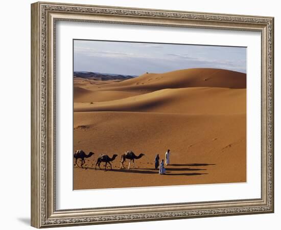 Berber Tribesmen Lead their Camels Through the Sand Dunes of the Erg Chegaga, in the Sahara Region -Mark Hannaford-Framed Photographic Print