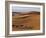 Berber Tribesmen Lead their Camels Through the Sand Dunes of the Erg Chegaga, in the Sahara Region -Mark Hannaford-Framed Photographic Print