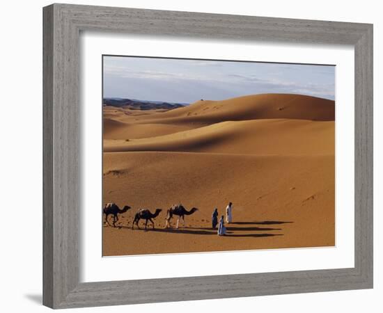 Berber Tribesmen Lead their Camels Through the Sand Dunes of the Erg Chegaga, in the Sahara Region -Mark Hannaford-Framed Photographic Print