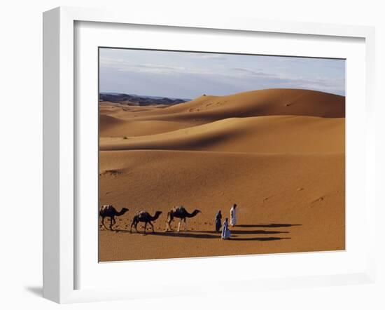Berber Tribesmen Lead their Camels Through the Sand Dunes of the Erg Chegaga, in the Sahara Region -Mark Hannaford-Framed Photographic Print