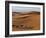 Berber Tribesmen Lead their Camels Through the Sand Dunes of the Erg Chegaga, in the Sahara Region -Mark Hannaford-Framed Photographic Print