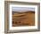 Berber Tribesmen Lead their Camels Through the Sand Dunes of the Erg Chegaga, in the Sahara Region -Mark Hannaford-Framed Photographic Print