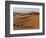 Berber Tribesmen Lead their Camels Through the Sand Dunes of the Erg Chegaga, in the Sahara Region -Mark Hannaford-Framed Photographic Print