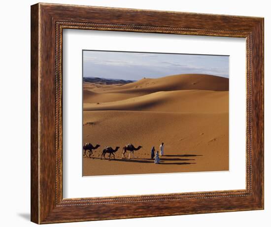 Berber Tribesmen Lead their Camels Through the Sand Dunes of the Erg Chegaga, in the Sahara Region -Mark Hannaford-Framed Photographic Print