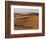 Berber Tribesmen Lead their Camels Through the Sand Dunes of the Erg Chegaga, in the Sahara Region -Mark Hannaford-Framed Photographic Print