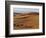 Berber Tribesmen Lead their Camels Through the Sand Dunes of the Erg Chegaga, in the Sahara Region -Mark Hannaford-Framed Photographic Print