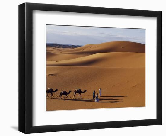 Berber Tribesmen Lead their Camels Through the Sand Dunes of the Erg Chegaga, in the Sahara Region -Mark Hannaford-Framed Photographic Print