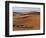 Berber Tribesmen Lead their Camels Through the Sand Dunes of the Erg Chegaga, in the Sahara Region -Mark Hannaford-Framed Photographic Print