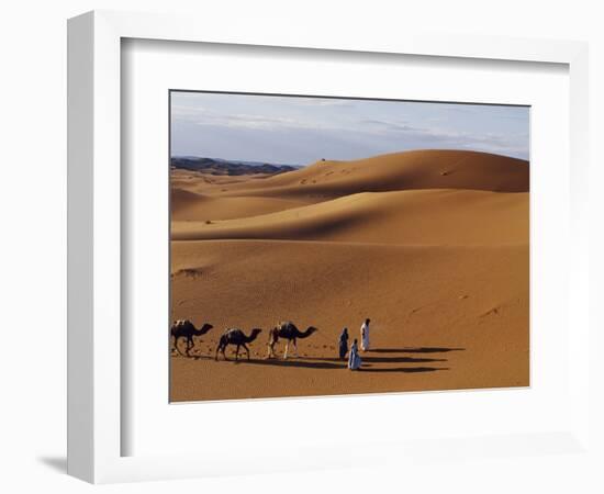 Berber Tribesmen Lead their Camels Through the Sand Dunes of the Erg Chegaga, in the Sahara Region -Mark Hannaford-Framed Photographic Print