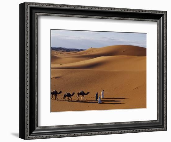 Berber Tribesmen Lead their Camels Through the Sand Dunes of the Erg Chegaga, in the Sahara Region -Mark Hannaford-Framed Photographic Print