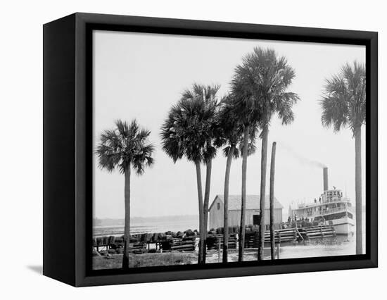 Beresford on the St. Johns, Fla.-null-Framed Stretched Canvas
