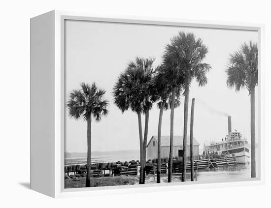 Beresford on the St. Johns, Fla.-null-Framed Stretched Canvas