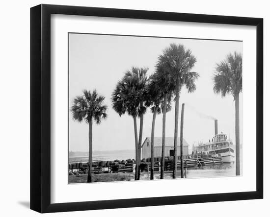 Beresford on the St. Johns, Fla.-null-Framed Photo