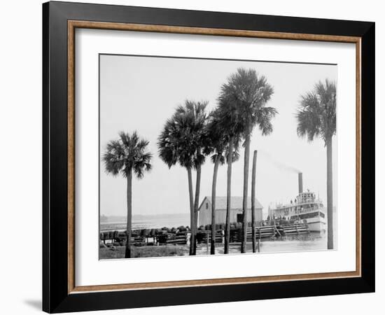 Beresford on the St. Johns, Fla.-null-Framed Photo