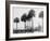 Beresford on the St. Johns, Fla.-null-Framed Photo