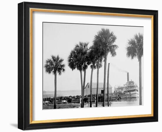 Beresford on the St. Johns, Fla.-null-Framed Photo