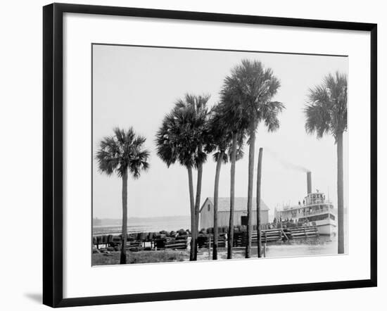 Beresford on the St. Johns, Fla.-null-Framed Photo